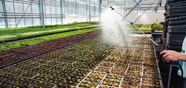 How are Greenhouses Benefitting from Steel Tubes and Pipes
