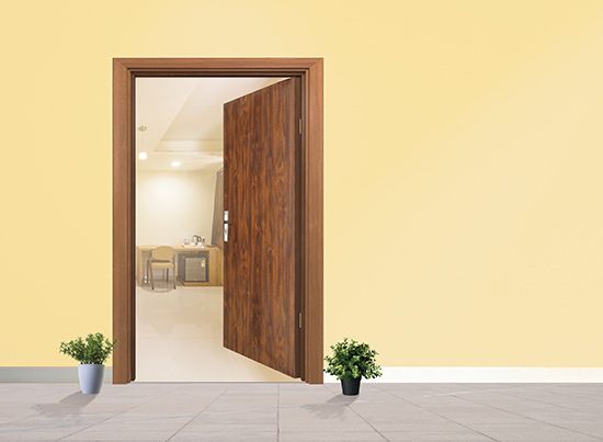 Wooden color ERW Steel Door soluitions for home decor